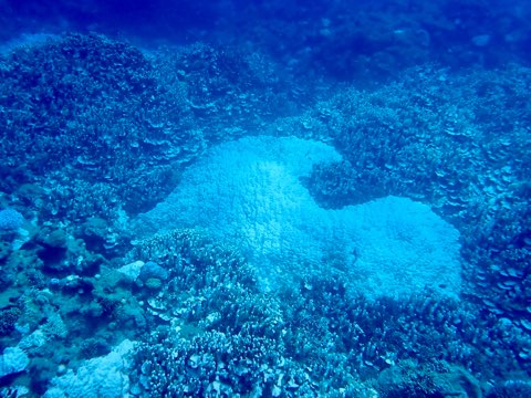 奄美大島パワースポット
