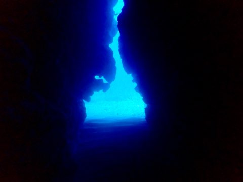 奄美大島　地形ダイビング