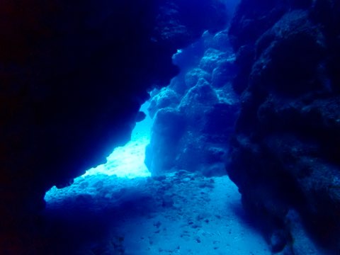 奄美大島　地形ダイビング