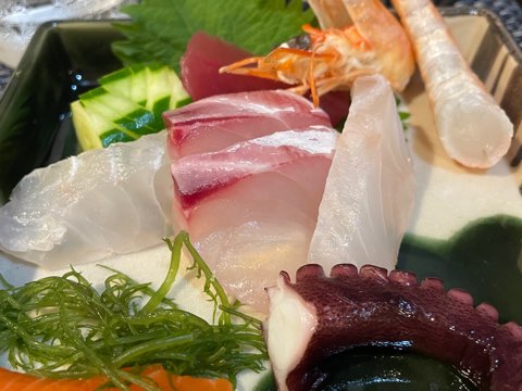 あまみの魚たち