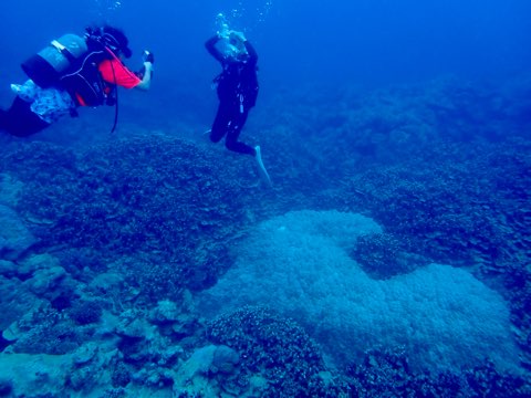 奄美大島パワースポット