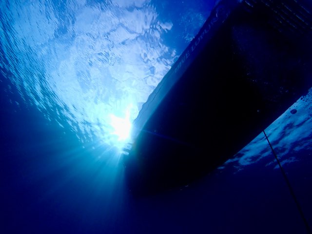 12月の奄美大島って最高じゃん！