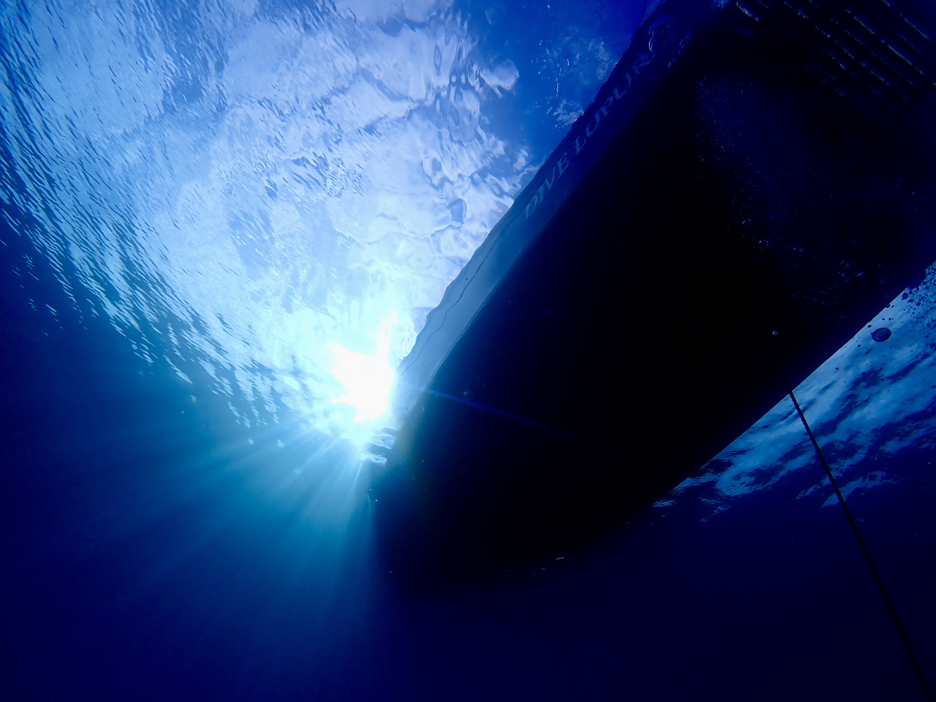 12月の奄美大島って最高じゃん！